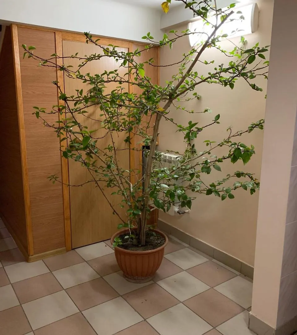 Inn on Zhytomyrska Kijów
